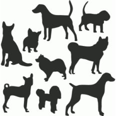 dog set