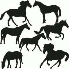 horse set