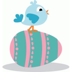 cute bird on egg