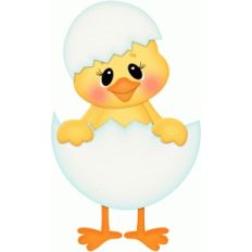 easter chick in egg