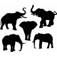 elephants set