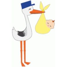 stork and baby