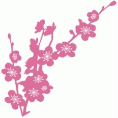 cherry blossom branch