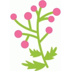 blooming branch