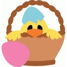 peeking chick