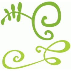 whimsical flourishes