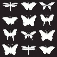 butterflies stencil