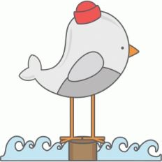 seagull