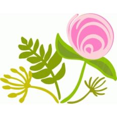 spring flower and leaves