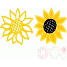 sunflower set
