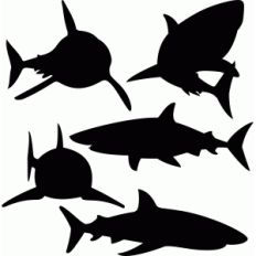 sharks set
