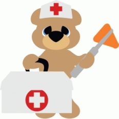 doctor bear