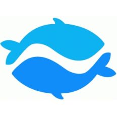 yin yang whales