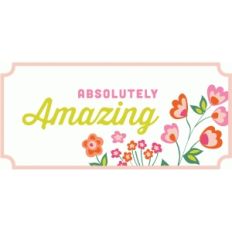 absolutely amazing