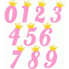 princess numbers
