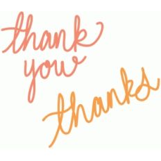 thank you thanks