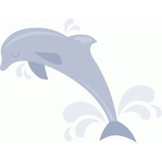 dolphin