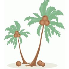 palm trees