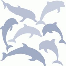 dolphin set