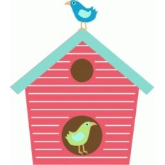 cute bird house