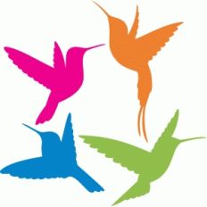 hummingbirds