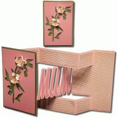 mum tri-shutter card