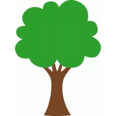 forest tree