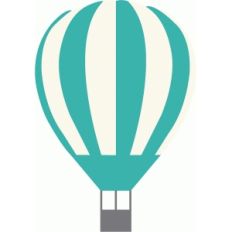 hot air balloon