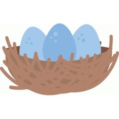 nest with eggs