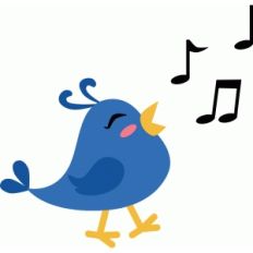 singing bird