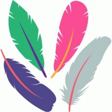 bird feathers