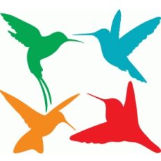hummingbirds set