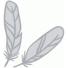 feathers