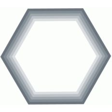 nested hexagon shapes / labels