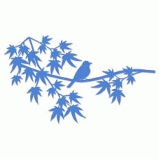 bird on maple branch