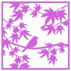 bird in maple tree spring scene