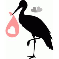 stork
