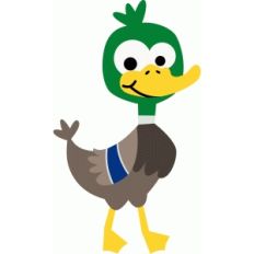 duck