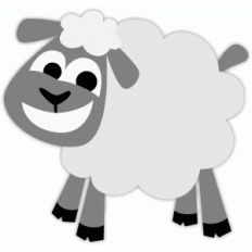 sheep