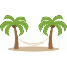 palm trees with hammock