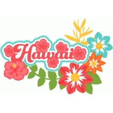 hawaii title