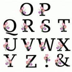 printable tulip alphabet q-z ! and