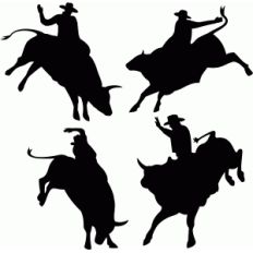 rodeo set