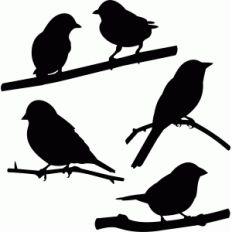 birds set