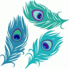 peacock feather set