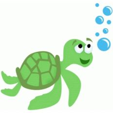 sea turtle