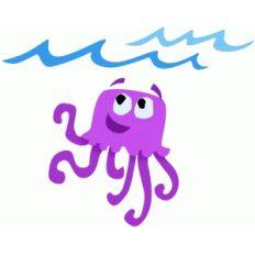 jelly fish