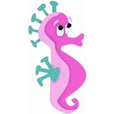 seahorse