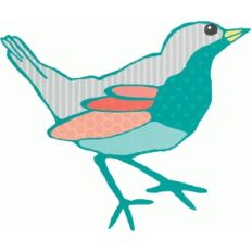 i am bird