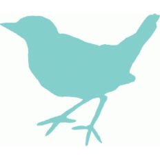 i am bird